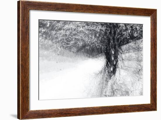 Snow Dancer-Ursula Abresch-Framed Photographic Print