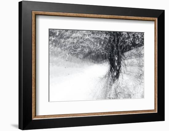 Snow Dancer-Ursula Abresch-Framed Photographic Print