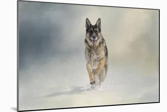 Snow Day for the Shepherd-Jai Johnson-Mounted Giclee Print