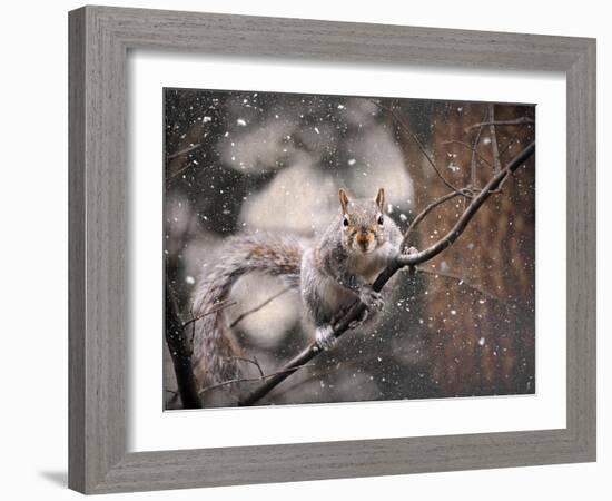 Snow Day Squirrel-Jai Johnson-Framed Giclee Print