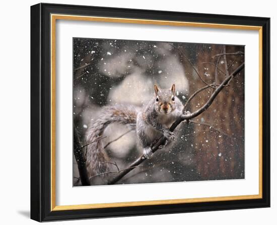 Snow Day Squirrel-Jai Johnson-Framed Giclee Print