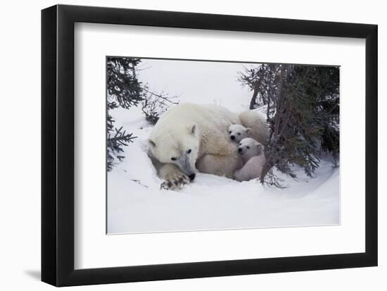 Snow Day-Art Wolfe-Framed Art Print