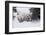 Snow Day-Art Wolfe-Framed Art Print