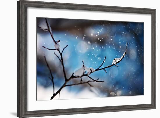 Snow Day-Ursula Abresch-Framed Photographic Print