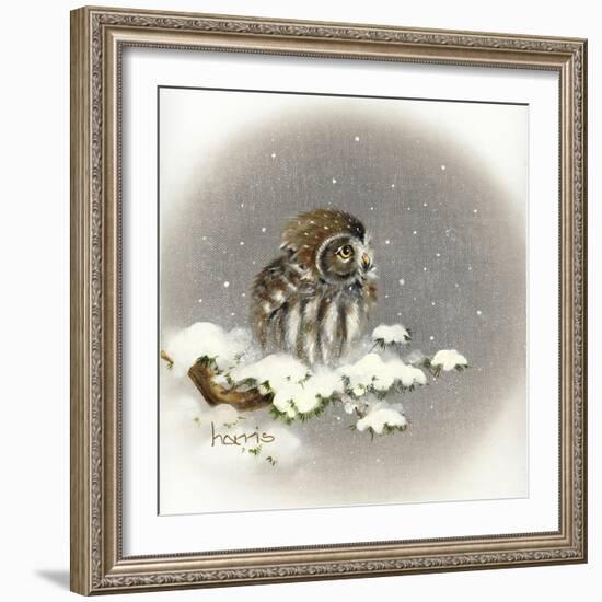 Snow Daze-Peggy Harris-Framed Giclee Print