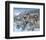 Snow Drifters-Kevin Daniel-Framed Art Print