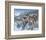 Snow Drifters-Kevin Daniel-Framed Art Print