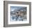 Snow Drifters-Kevin Daniel-Framed Art Print