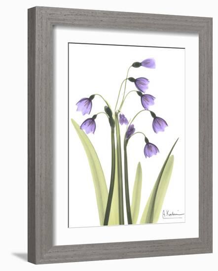 Snow Drop in Full Bloom-Albert Koetsier-Framed Art Print