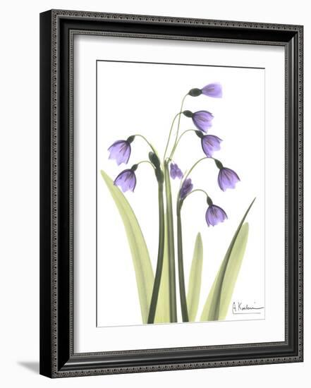 Snow Drop in Full Bloom-Albert Koetsier-Framed Art Print