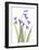 Snow Drop in Full Bloom-Albert Koetsier-Framed Art Print