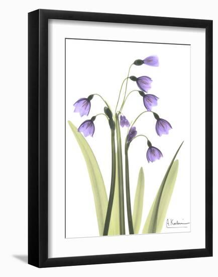 Snow Drop in Full Bloom-Albert Koetsier-Framed Art Print