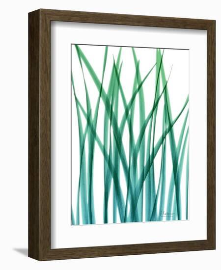 Snow Drop-Albert Koetsier-Framed Art Print