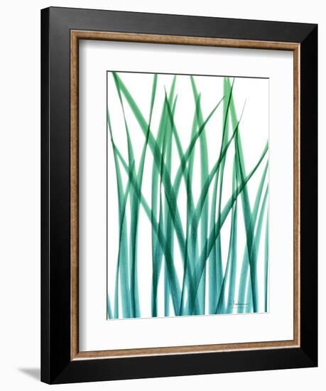 Snow Drop-Albert Koetsier-Framed Art Print