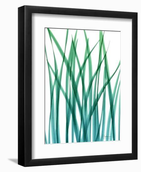 Snow Drop-Albert Koetsier-Framed Art Print