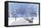 Snow falling in City Park-Milovelen-Framed Stretched Canvas