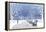 Snow falling in City Park-Milovelen-Framed Stretched Canvas