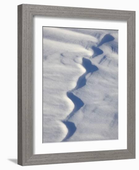 Snow Forms, Bosque del Apache National Wildlife Refuge, New Mexico, USA, North America-James Hager-Framed Photographic Print