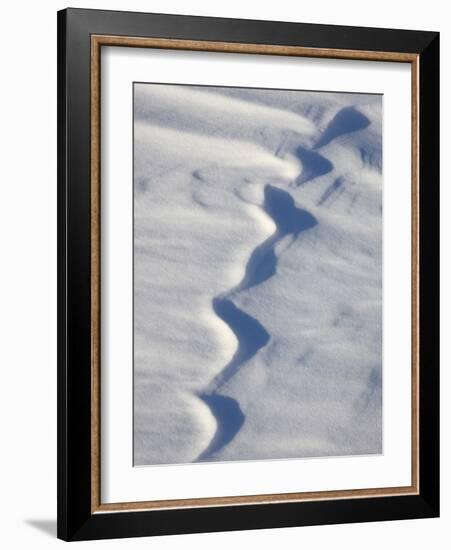 Snow Forms, Bosque del Apache National Wildlife Refuge, New Mexico, USA, North America-James Hager-Framed Photographic Print