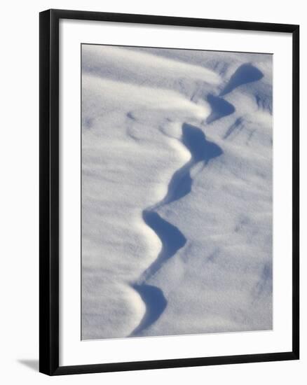 Snow Forms, Bosque del Apache National Wildlife Refuge, New Mexico, USA, North America-James Hager-Framed Photographic Print
