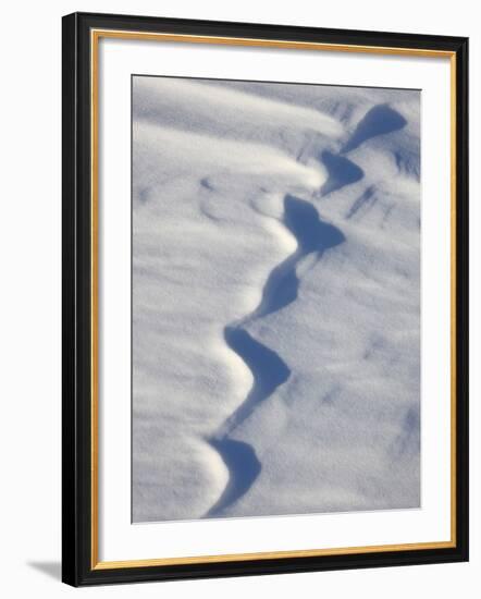 Snow Forms, Bosque del Apache National Wildlife Refuge, New Mexico, USA, North America-James Hager-Framed Photographic Print