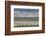 Snow Geese Flock-Ken Archer-Framed Photographic Print