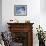 Snow Geese in Flight at the Skagit Flats, Washington, USA-Charles Sleicher-Framed Photographic Print displayed on a wall