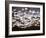 Snow Geese in Flight, Skagit Valley, Skagit Flats, Washington, USA-Charles Sleicher-Framed Photographic Print