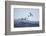 Snow Geese in Flight-DLILLC-Framed Photographic Print