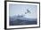 Snow Geese in Flight-DLILLC-Framed Photographic Print