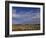 Snow Geese in Winter, Bosque Del Apache, New Mexico, USA-David Tipling-Framed Photographic Print