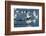 Snow Geese Taking Off, Bosque Del Apache NWR, New Mexico, USA-Larry Ditto-Framed Photographic Print