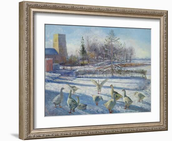 Snow Geese, Winter Morning-Timothy Easton-Framed Giclee Print