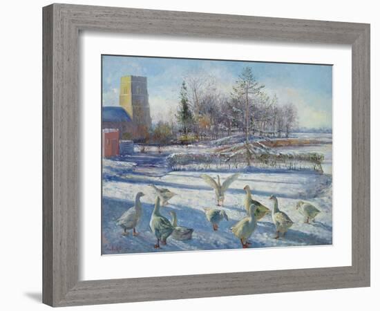 Snow Geese, Winter Morning-Timothy Easton-Framed Giclee Print