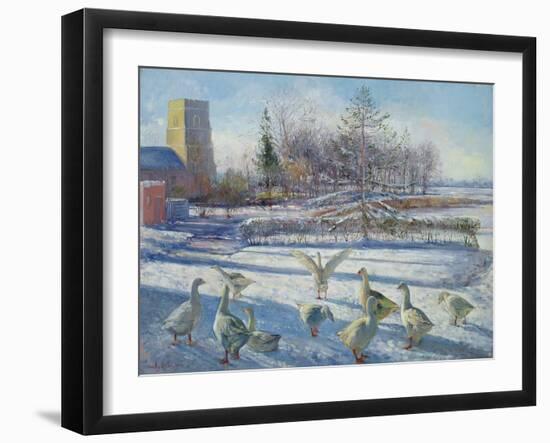 Snow Geese, Winter Morning-Timothy Easton-Framed Giclee Print