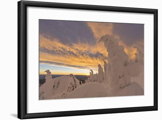 Snow Ghosts in the Whitefish Range, Montana, USA-Chuck Haney-Framed Photographic Print