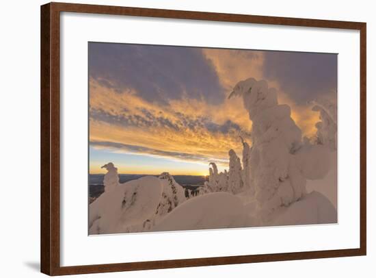 Snow Ghosts in the Whitefish Range, Montana, USA-Chuck Haney-Framed Photographic Print