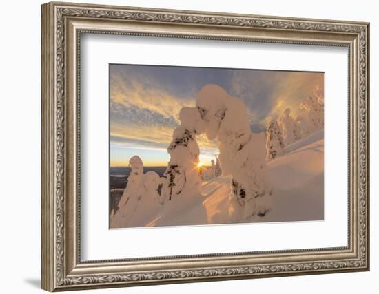 Snow Ghosts in the Whitefish Range, Montana, USA-Chuck Haney-Framed Photographic Print