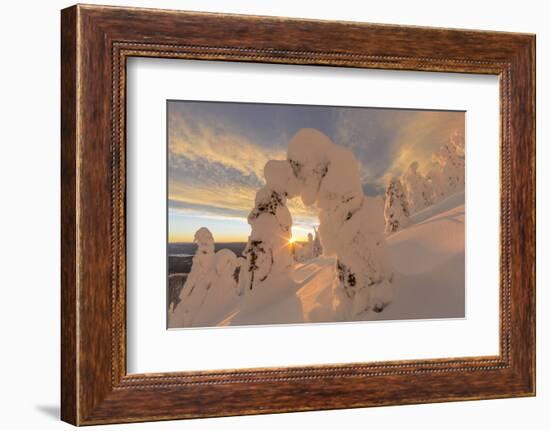 Snow Ghosts in the Whitefish Range, Montana, USA-Chuck Haney-Framed Photographic Print