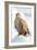 Snow Hawk-Howard Ruby-Framed Photographic Print