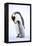 Snow Hill Island, Antarctica. Emperor penguin parent bonding with chick.-Dee Ann Pederson-Framed Premier Image Canvas