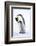 Snow Hill Island, Antarctica. Emperor penguin parent bonding with chick.-Dee Ann Pederson-Framed Photographic Print