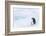 Snow Hill Island, Antarctica. Emperor penguin parent out for a walk with tiny chick.-Dee Ann Pederson-Framed Photographic Print