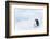 Snow Hill Island, Antarctica. Emperor penguin parent out for a walk with tiny chick.-Dee Ann Pederson-Framed Photographic Print