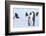 Snow Hill Island, Antarctica. Emperor penguin parent with juvenile.-Dee Ann Pederson-Framed Photographic Print