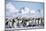 Snow Hill Island, Antarctica. Scenic emperor penguin colony with chicks on a sunny day.-Dee Ann Pederson-Mounted Photographic Print