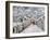 Snow in Louveciennes-Alfred Sisley-Framed Giclee Print