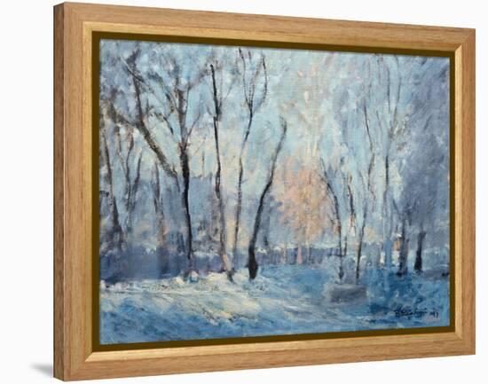 Snow in the Garden, 1993-Patricia Espir-Framed Premier Image Canvas