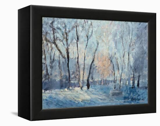 Snow in the Garden, 1993-Patricia Espir-Framed Premier Image Canvas
