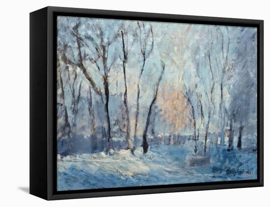 Snow in the Garden, 1993-Patricia Espir-Framed Premier Image Canvas